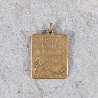 1914 Border occupation badge