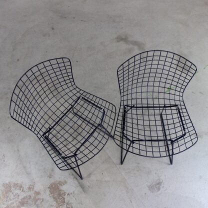 Wire Bertoia Stühle Knoll 1952